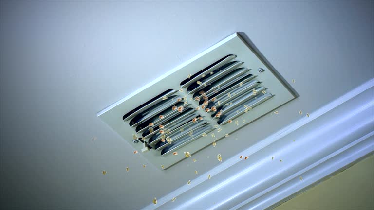 Best Duct Cleaning for Homes  in Marlton, MD