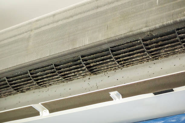 Best HVAC Air Duct Cleaning  in Marlton, MD